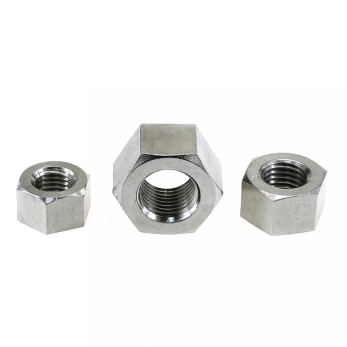 SS316 Hex Head Nuts